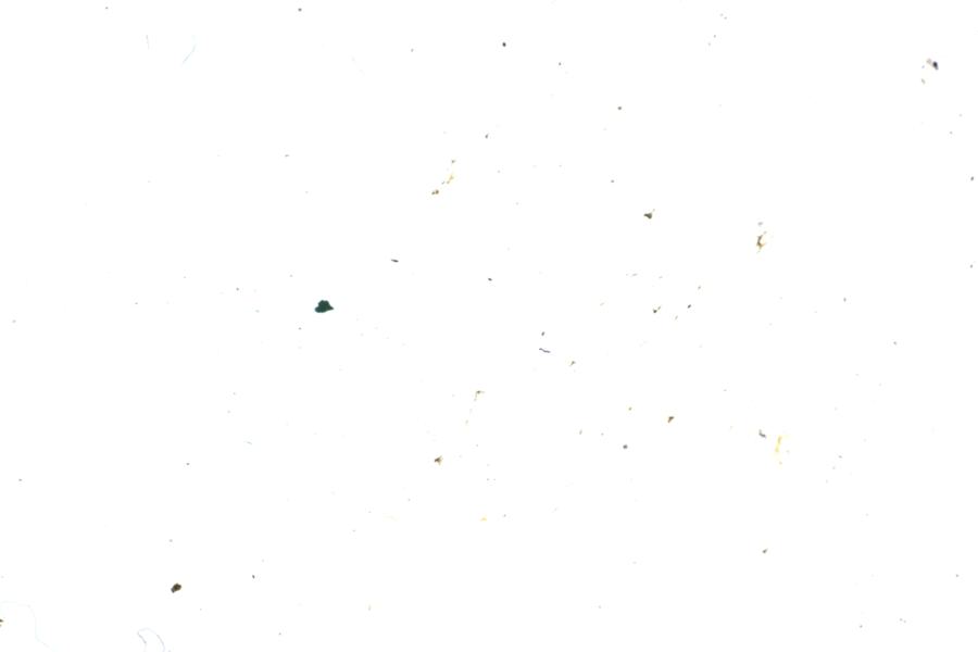 Image 34
